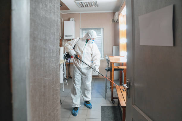 Reliable Washington Court House, OH Mold Inspection, Removal & Remediation Solutions